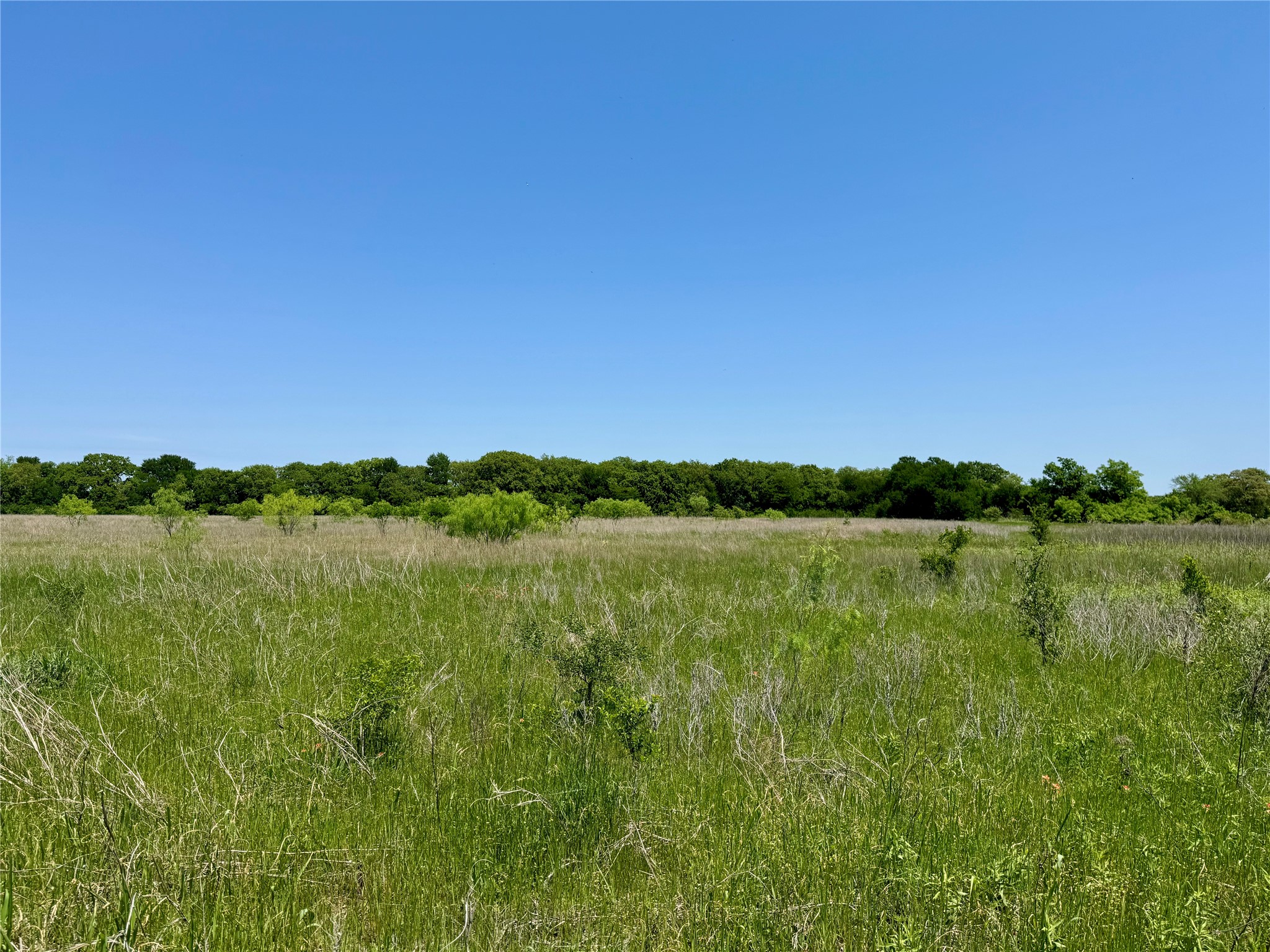 0 Clater Powell Road Gholson TX 76705