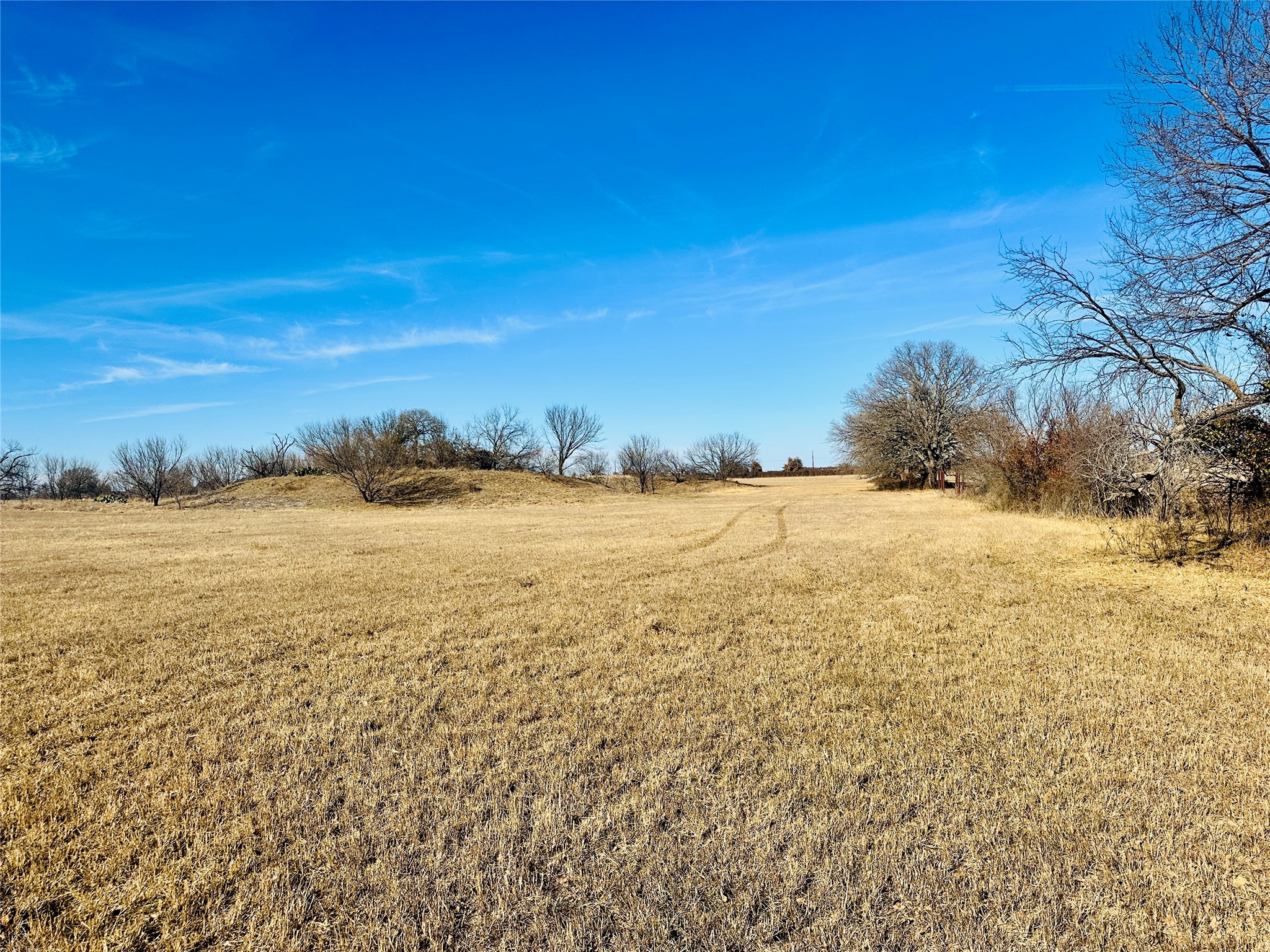 Tbd Highway 36 Cross Plains TX 76443