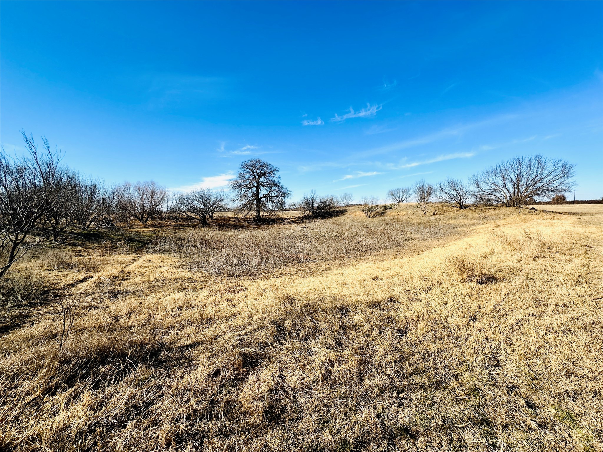 Tbd Highway 36 Cross Plains TX 76443