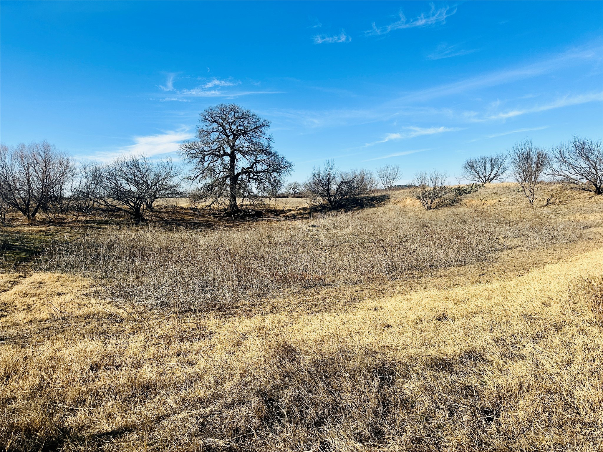 Tbd Highway 36 Cross Plains TX 76443