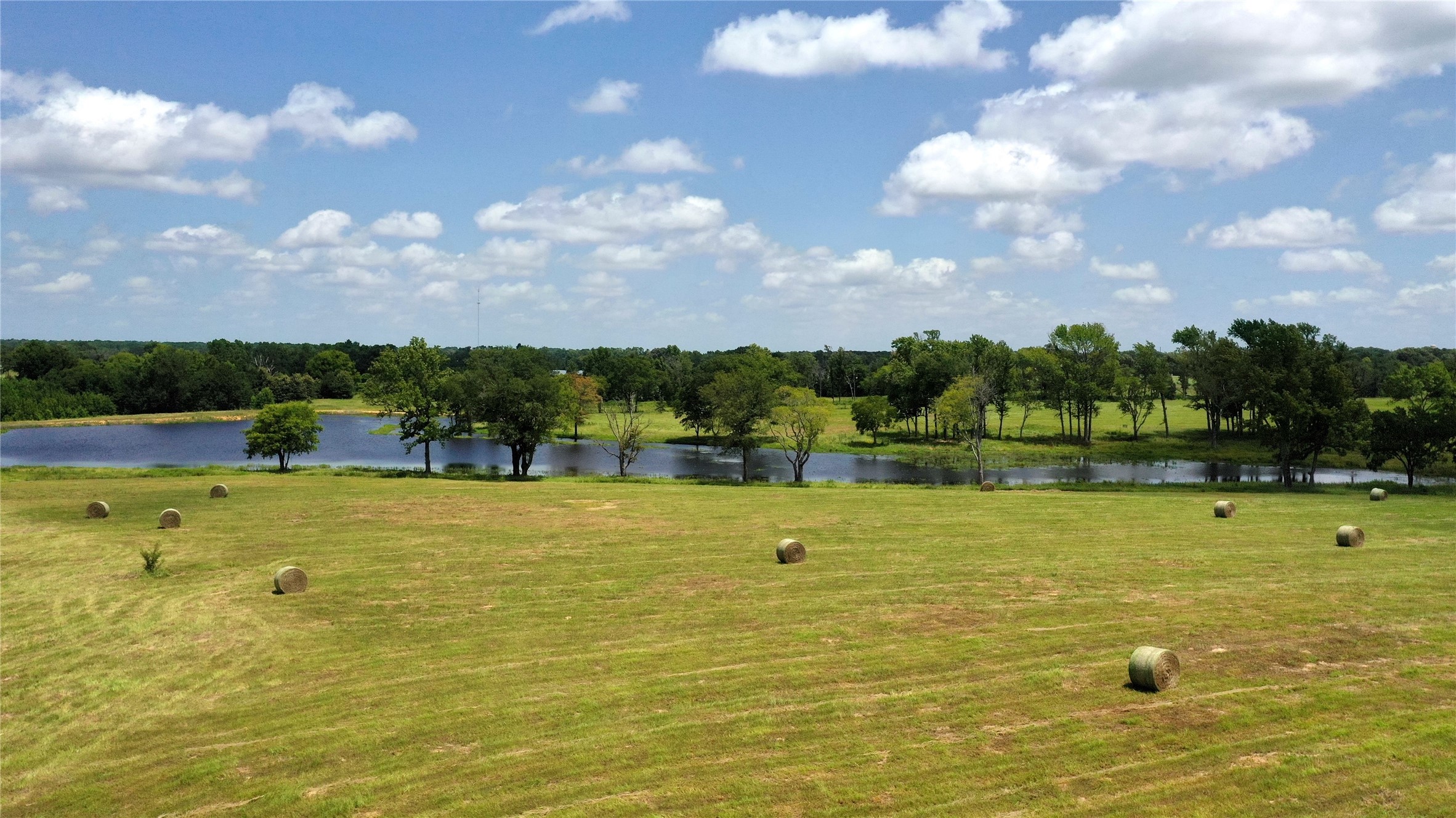 13530 Fm 773 Ben Wheeler TX 75754