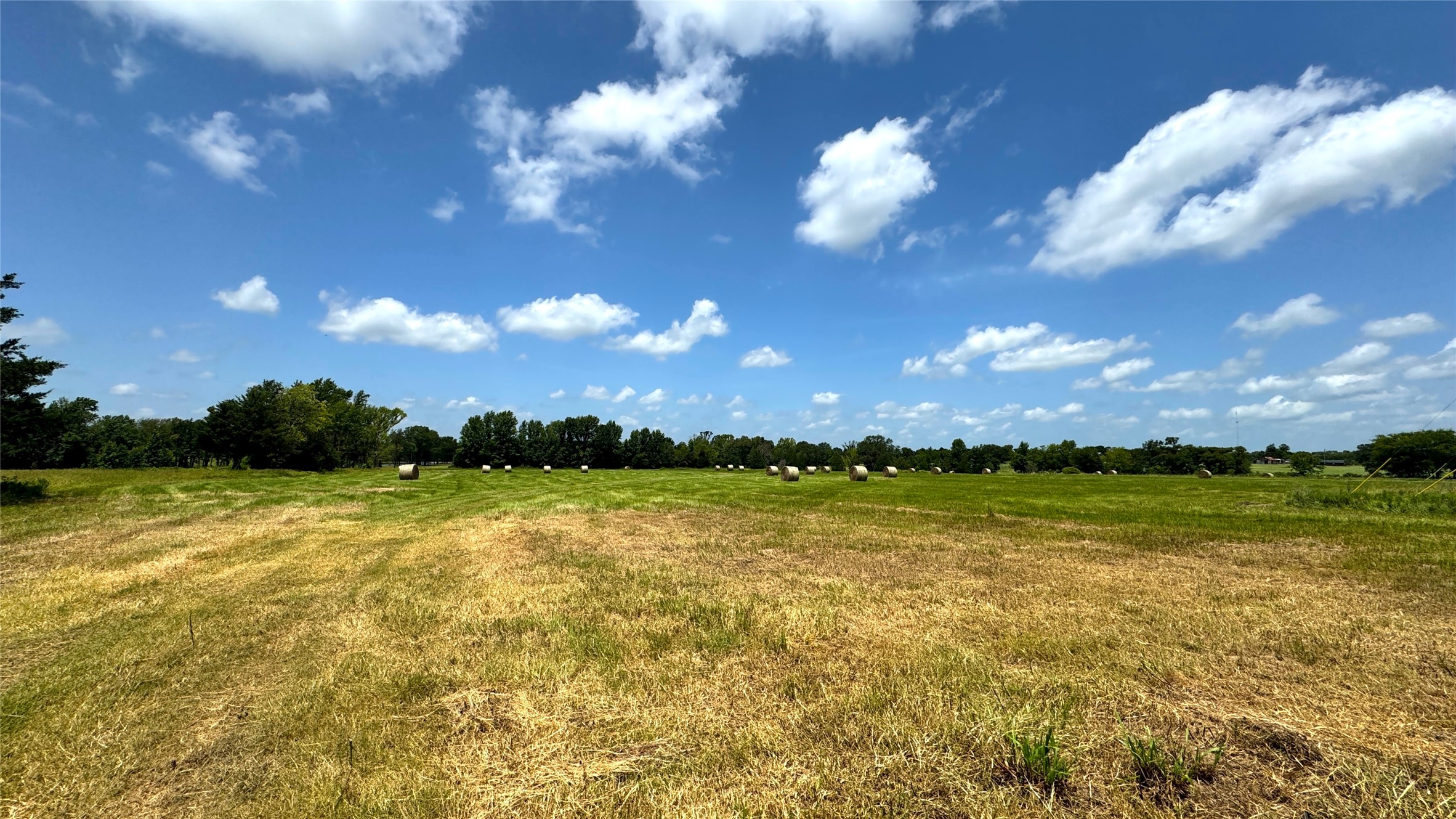 13530 Fm 773 Ben Wheeler TX 75754