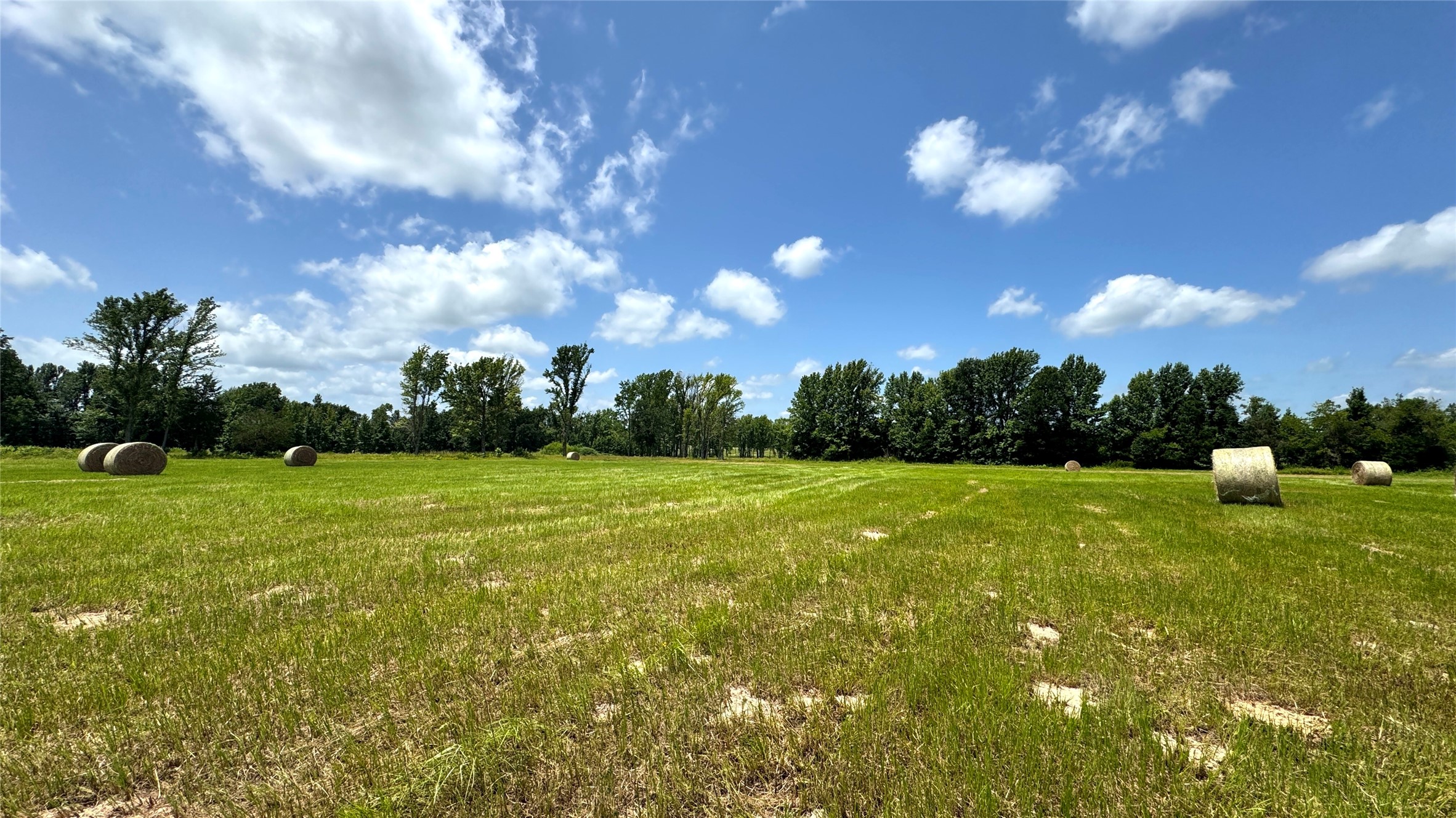 13530 Fm 773 Ben Wheeler TX 75754