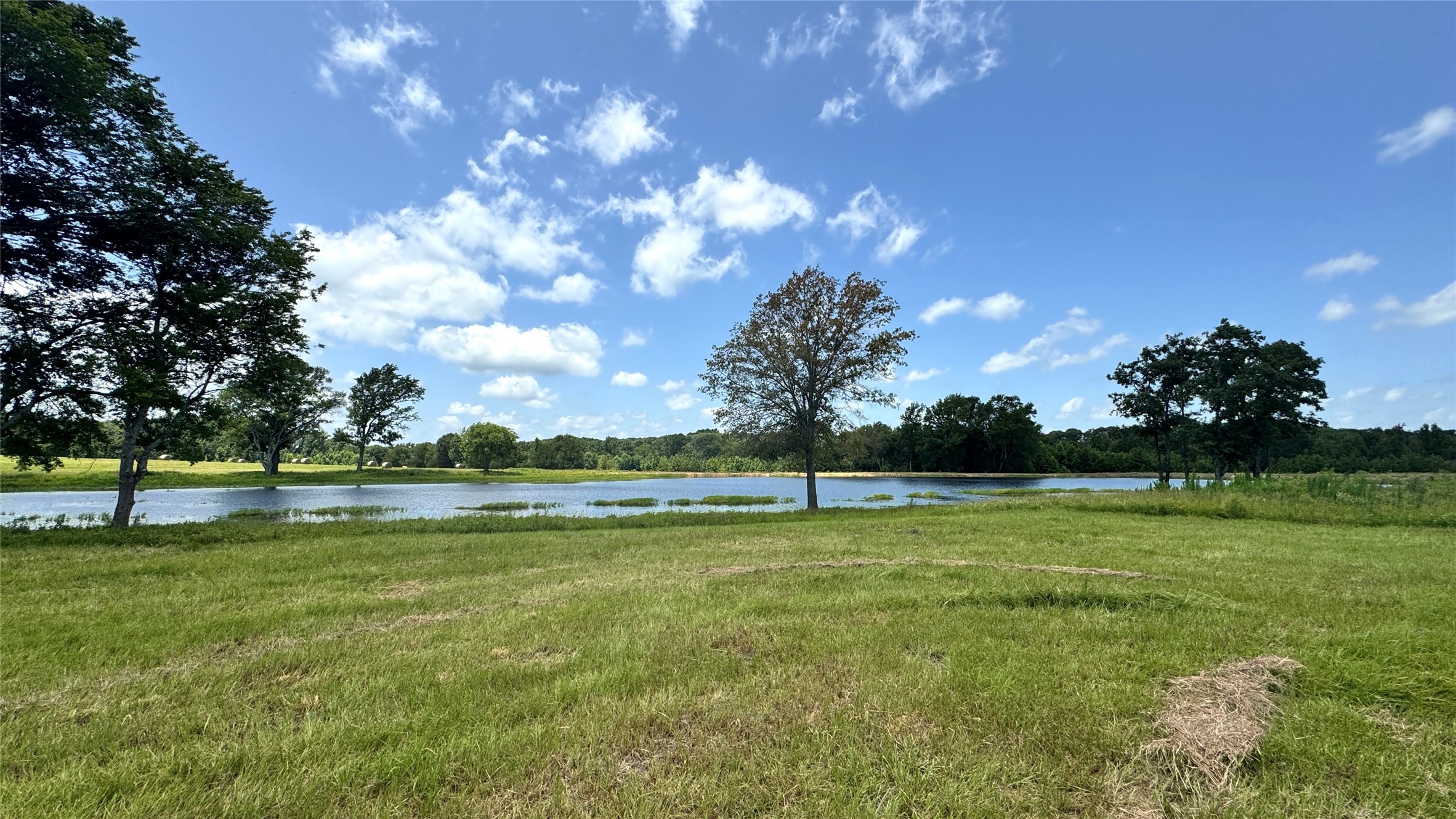13530 Fm 773 Ben Wheeler TX 75754