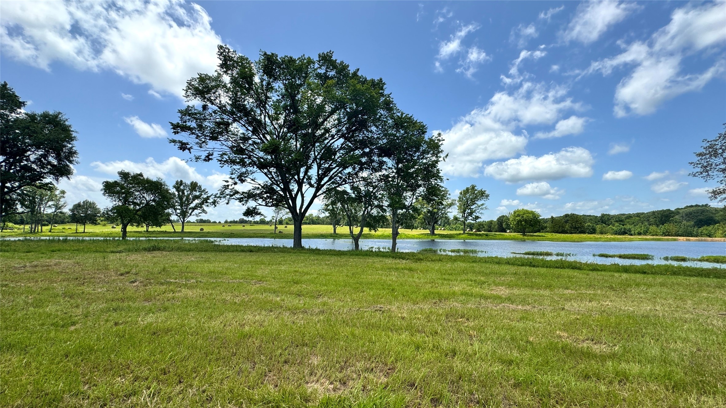 13530 Fm 773 Ben Wheeler TX 75754