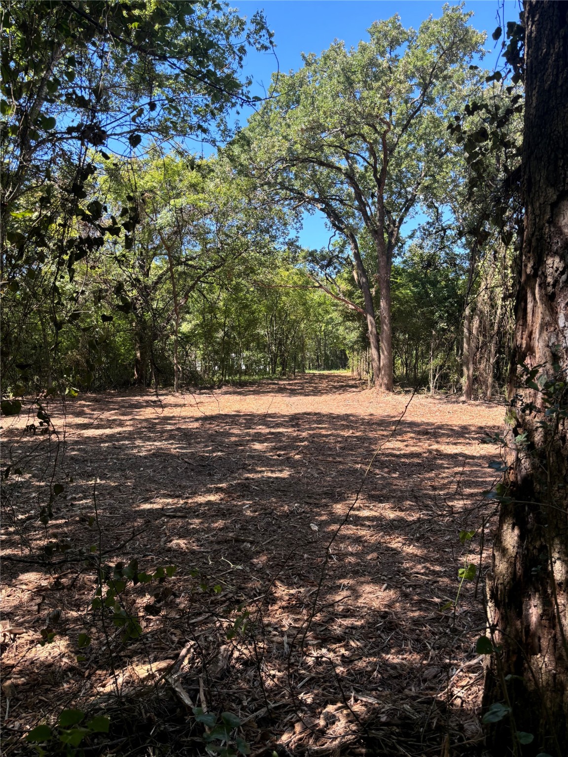 Tbd Triple N Ranch Road Trinidad TX 75163