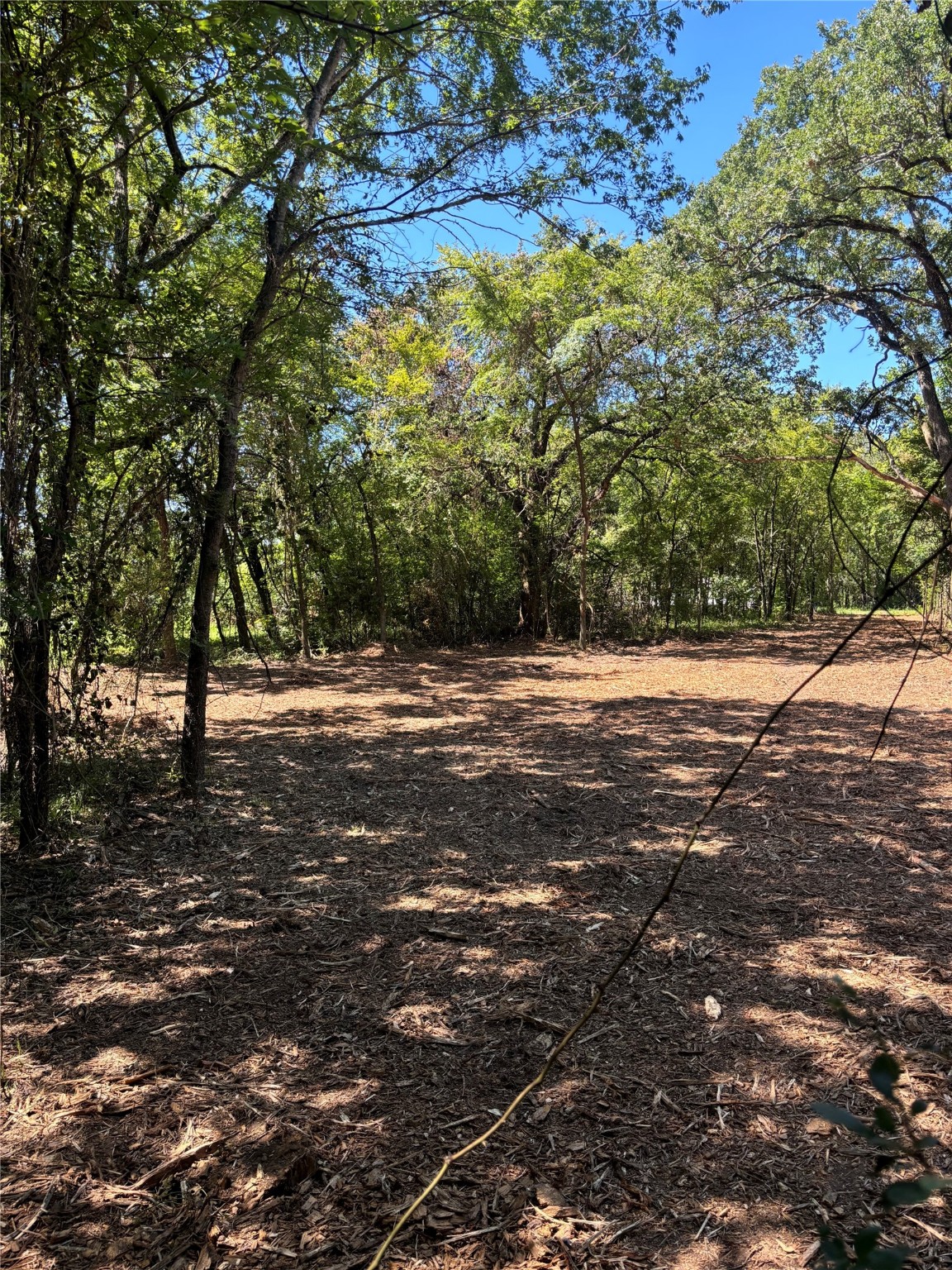 Tbd Triple N Ranch Road Trinidad TX 75163