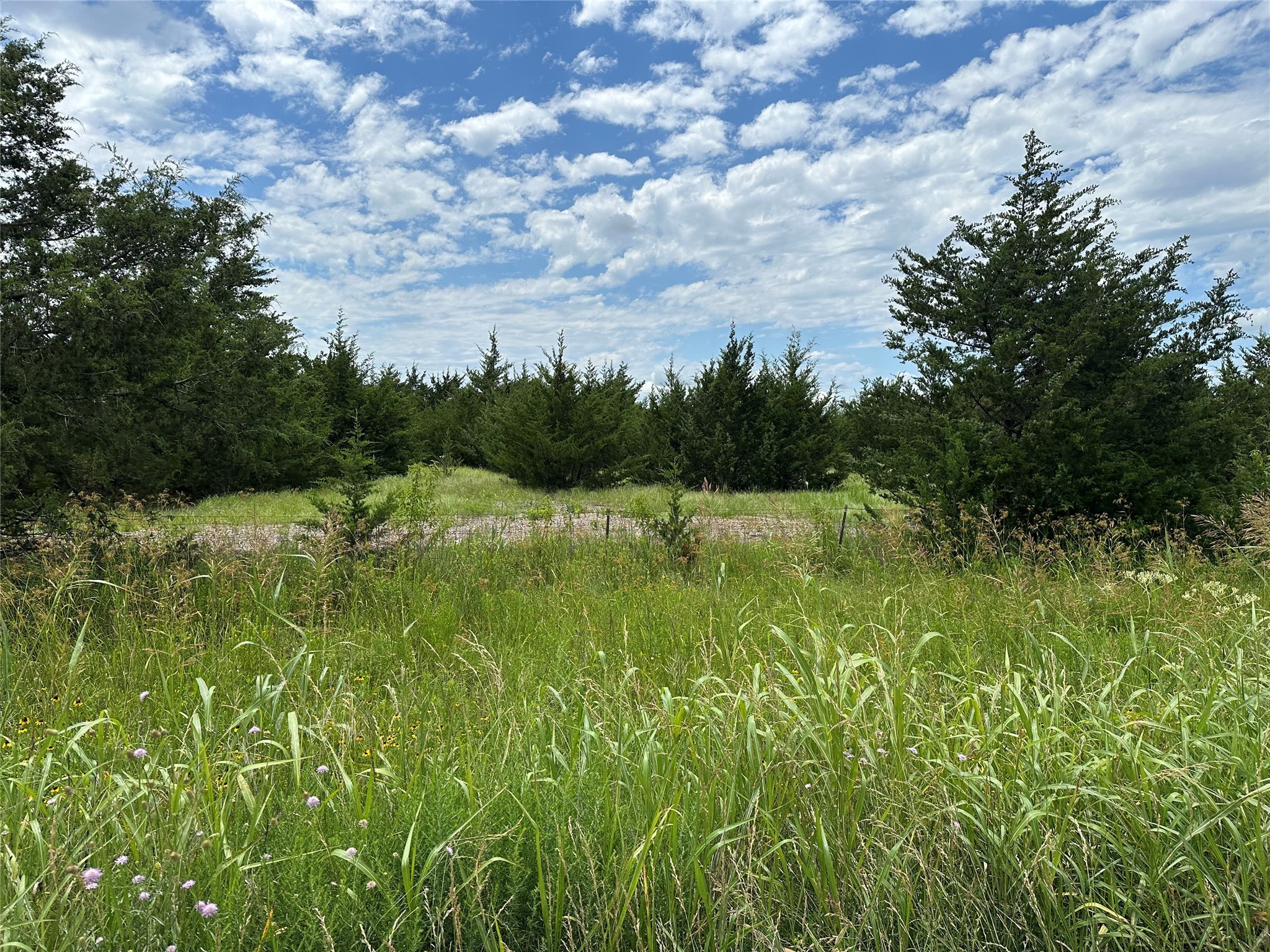 Lot 7 Lemonade Lane Farmersville TX 75442