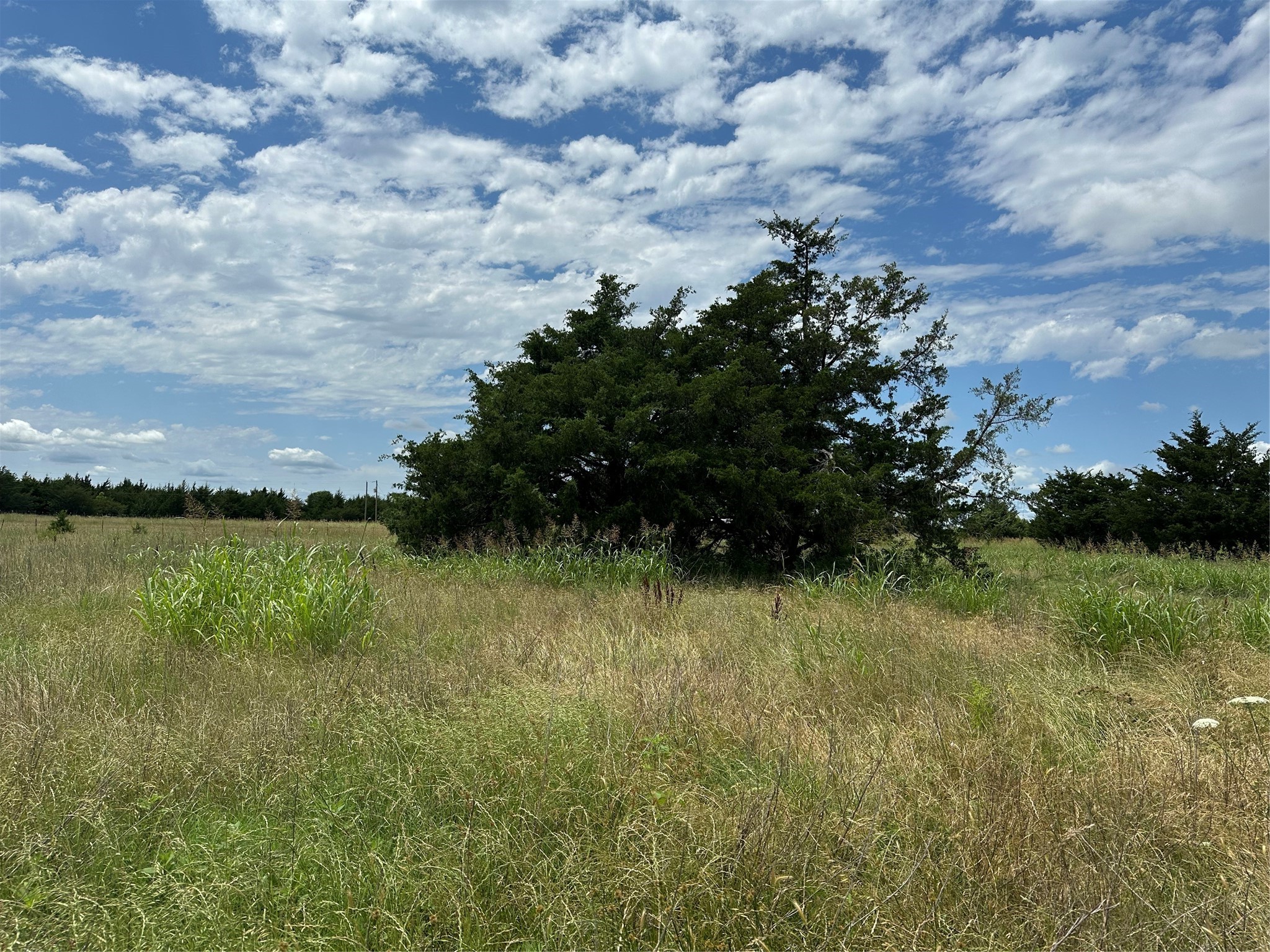 Lot 7 Lemonade Lane Farmersville TX 75442