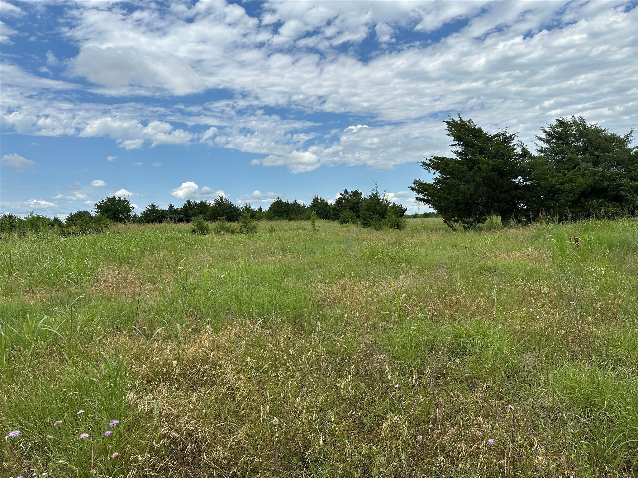 Lot 7 Lemonade Lane Farmersville TX 75442