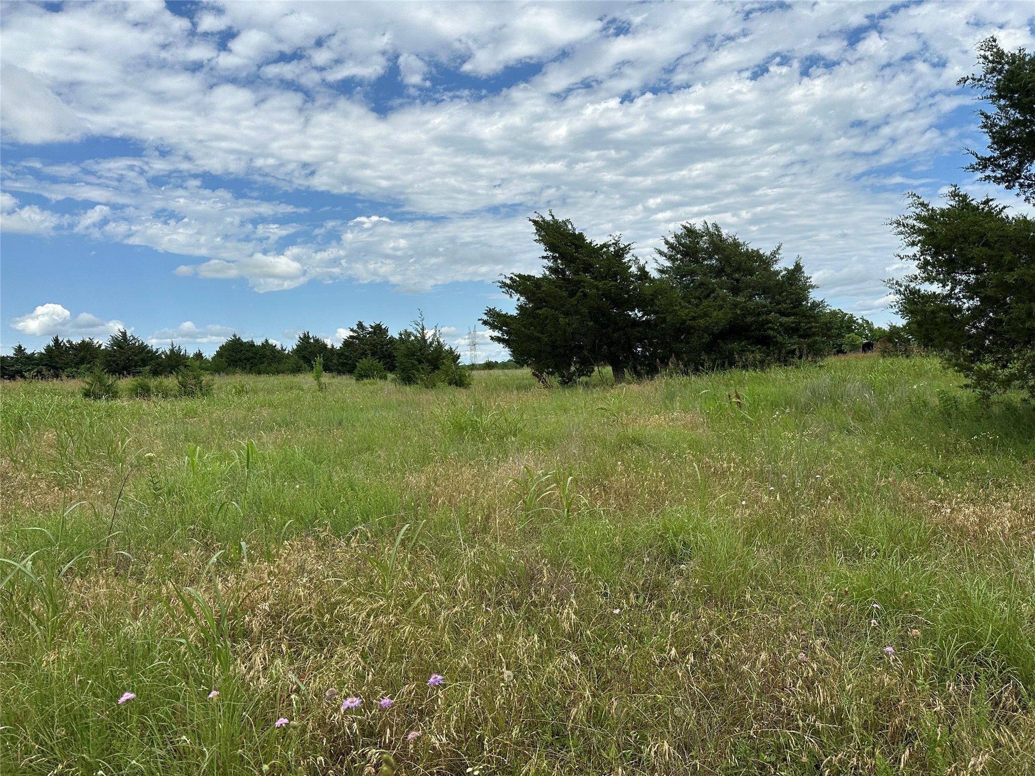 Lot 7 Lemonade Lane Farmersville TX 75442