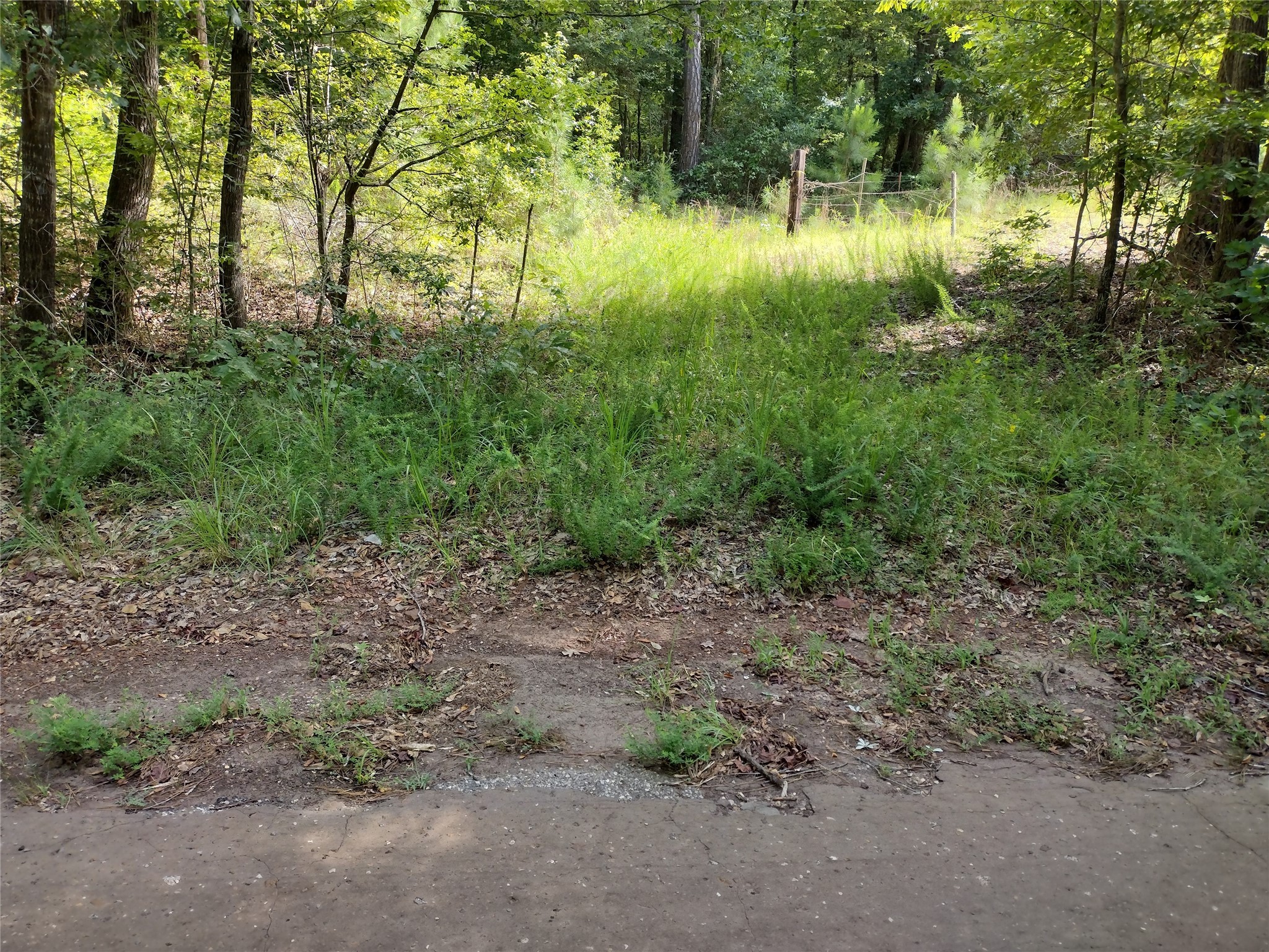 Tbd Willow Point Marina Road Avinger TX 75668