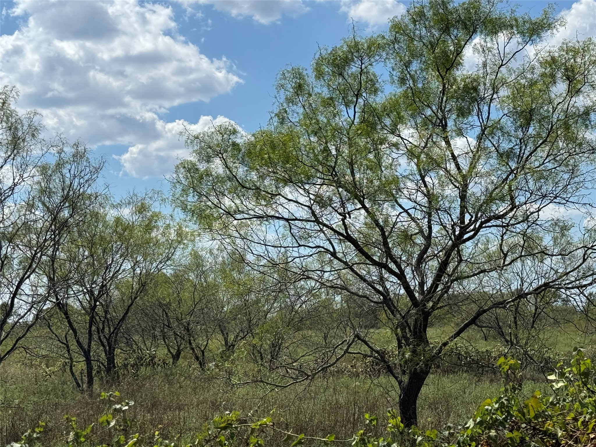 TBD1 County Road 1240 Cleburne TX 76033