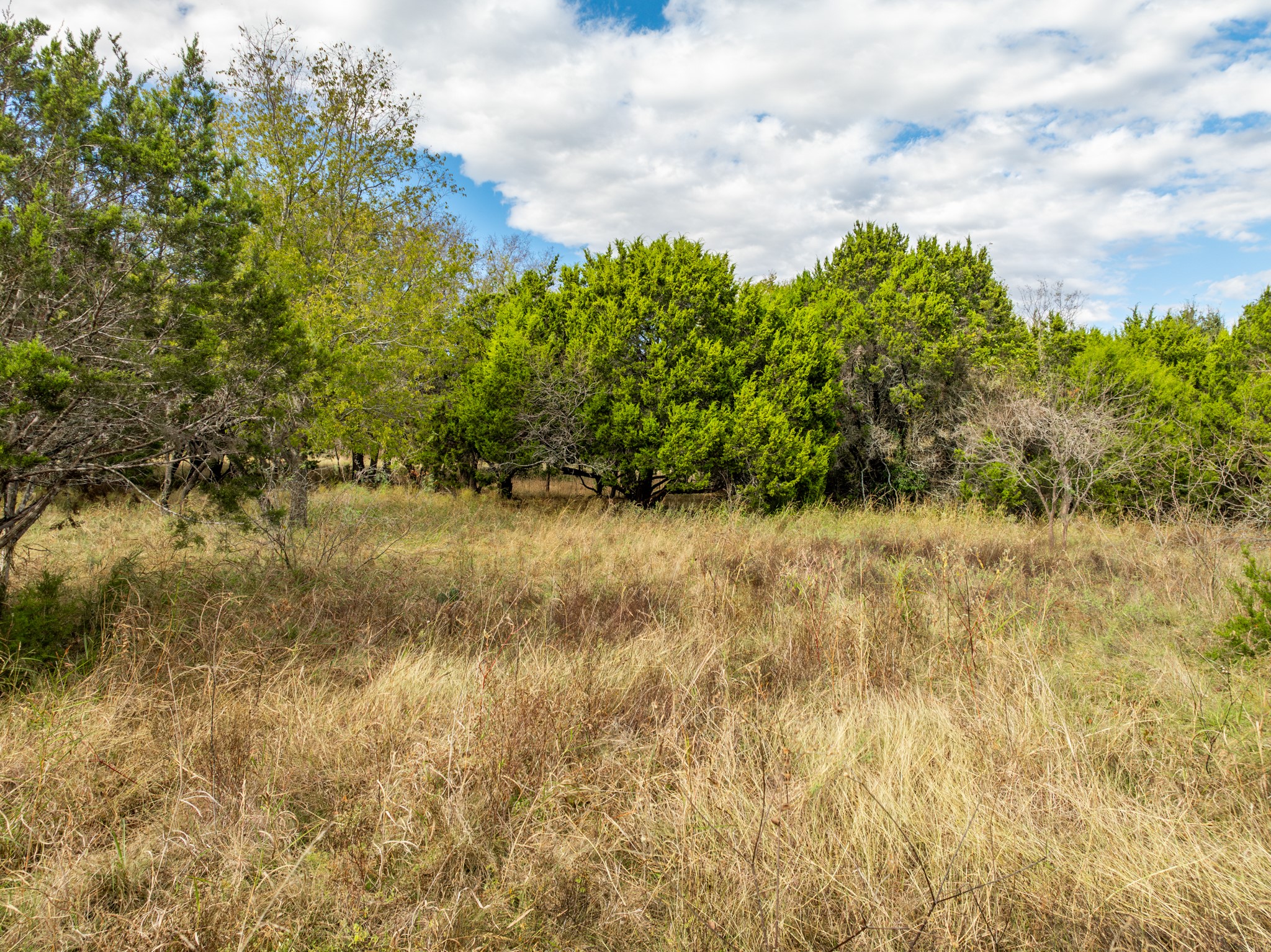 38063 Brookside Drive Whitney TX 76692