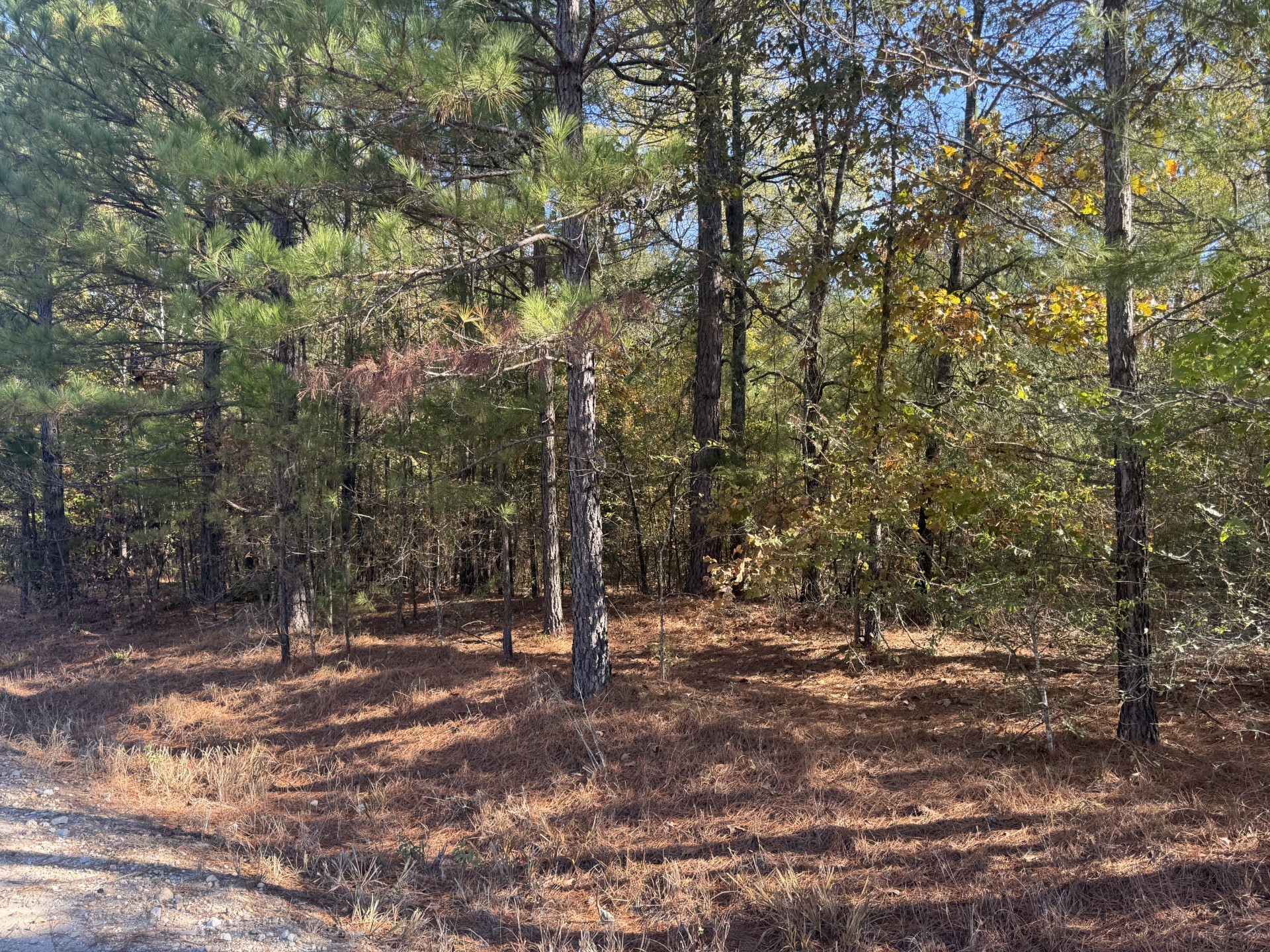 00 Cr 2451 Clarksville TX 75426