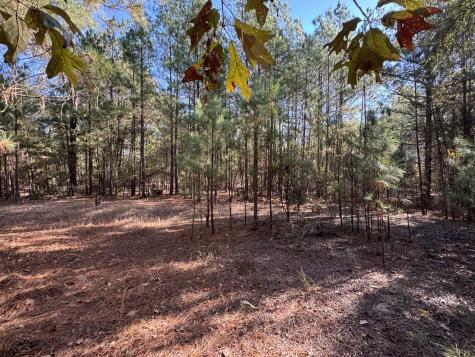 00 Cr 2451 Clarksville TX 75426