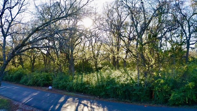 2107 Island Bonham TX 75418