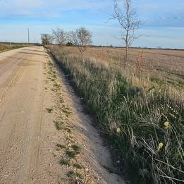 1105 Cr 611 Hamilton TX 76531