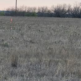 1105 Cr 611 Hamilton TX 76531