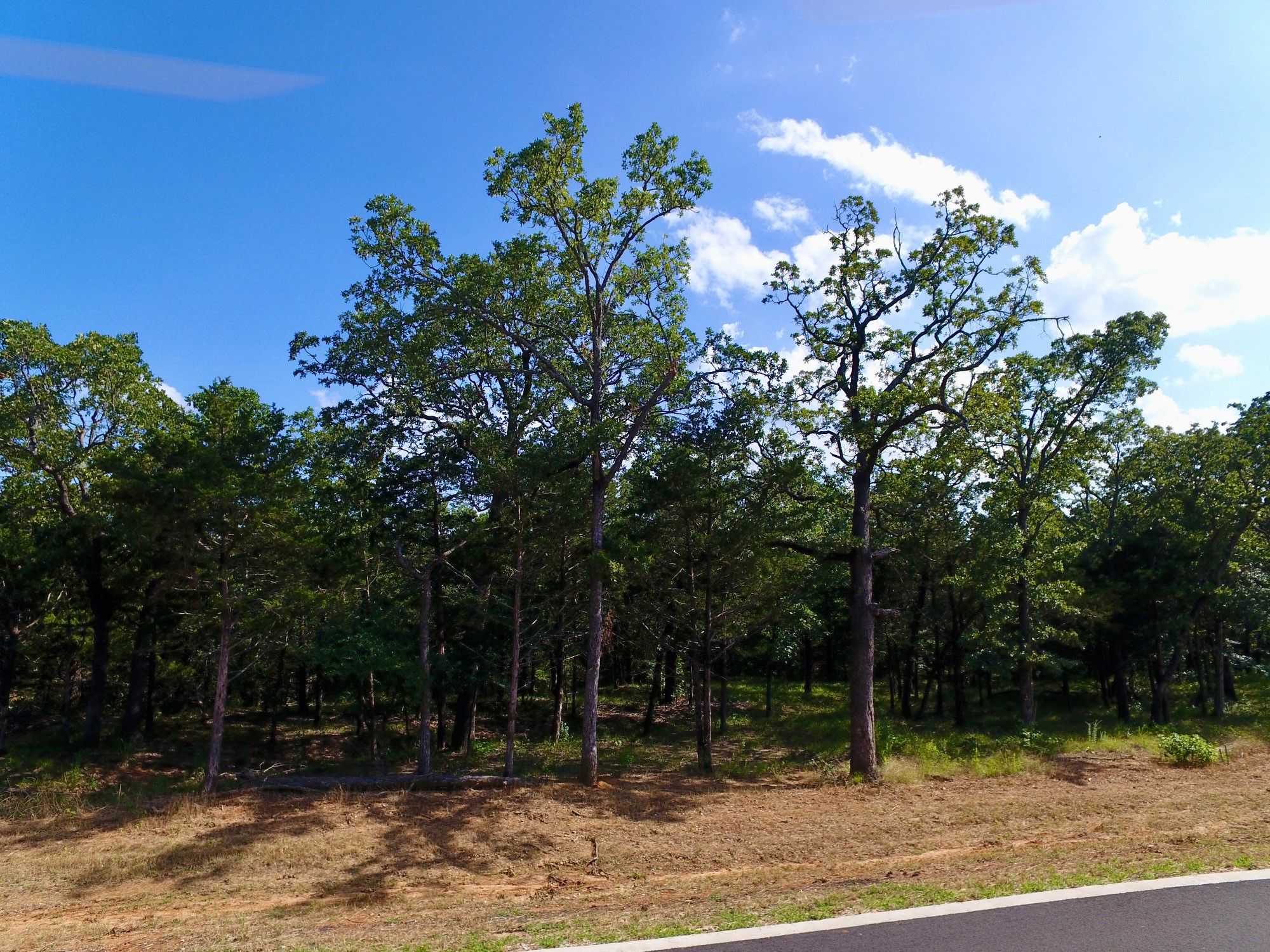 19C Coyote Springs Court Gordonville TX 76245