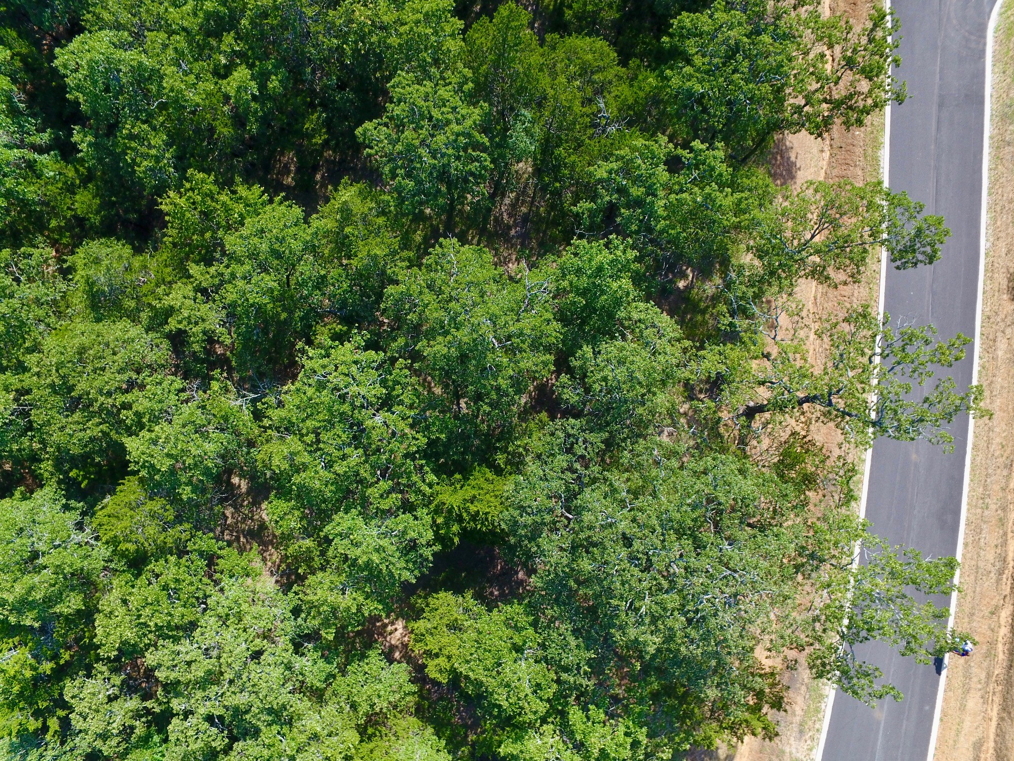 19C Coyote Springs Court Gordonville TX 76245