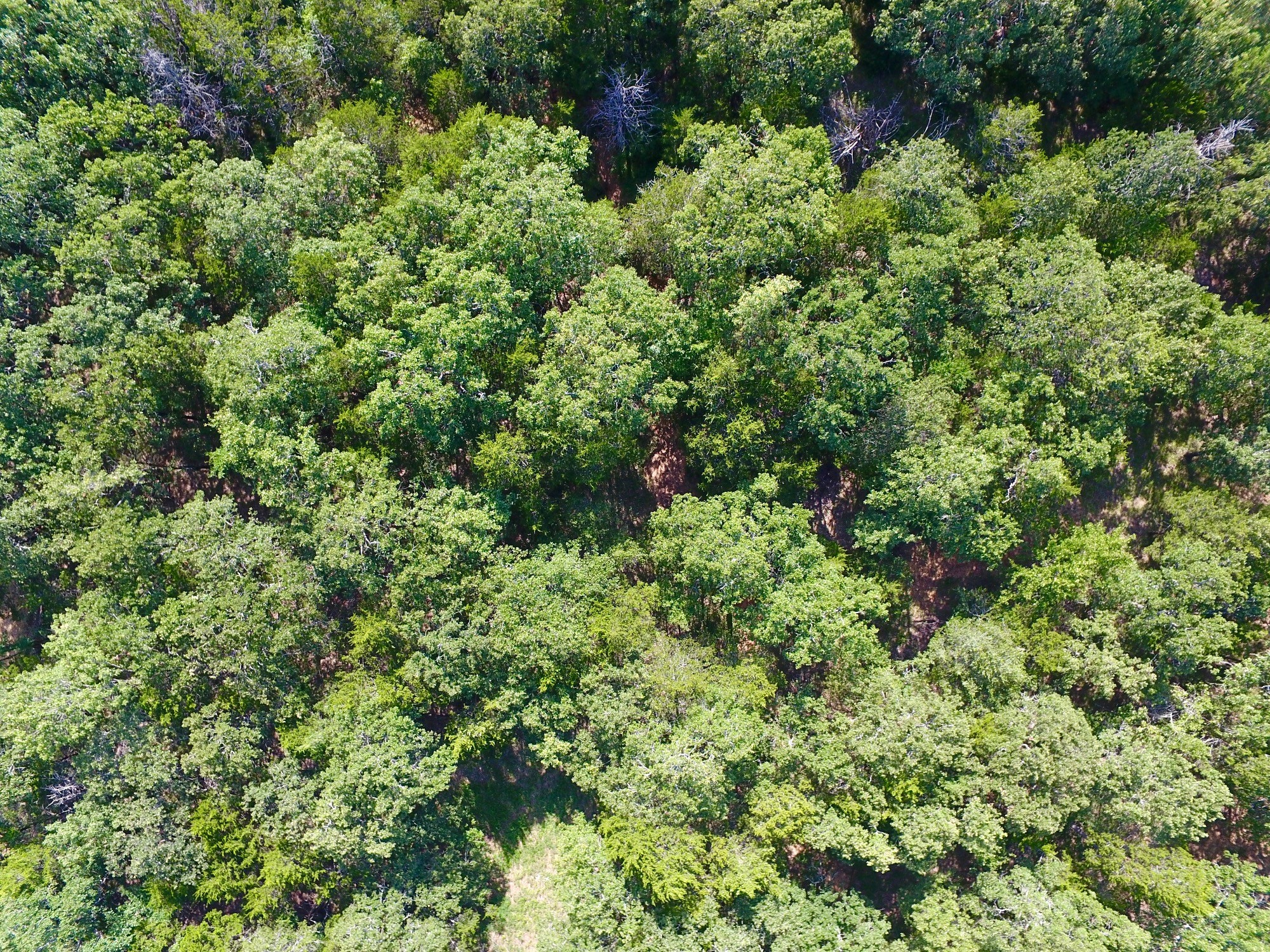 19C Coyote Springs Court Gordonville TX 76245