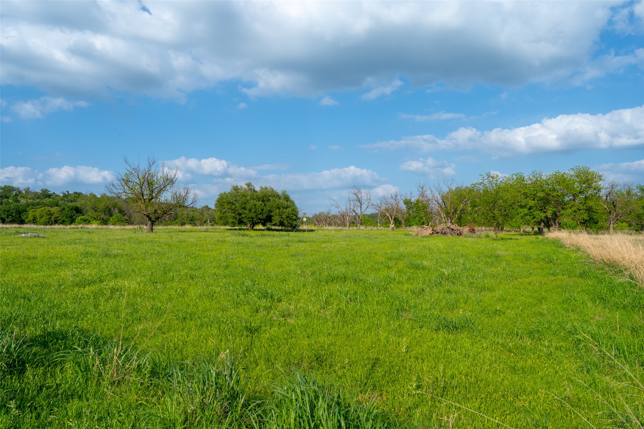 2356 Cr 211 Richland Springs TX 76871