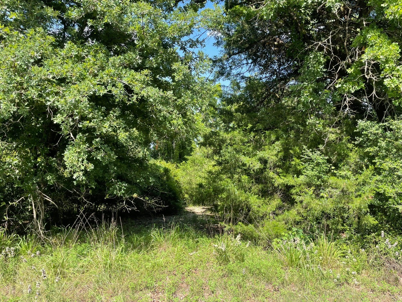 Tbd 794 Groesbeck TX 76687