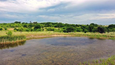 21481 SW County Road 4040 Dawson TX 76639