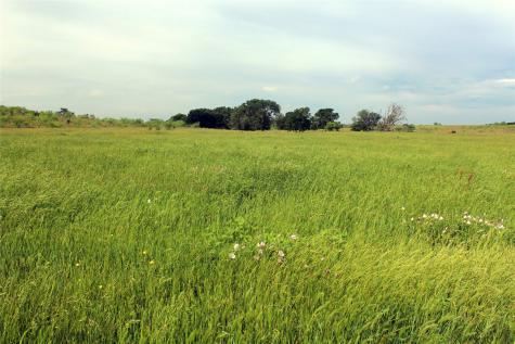 21481 SW County Road 4040 Dawson TX 76639