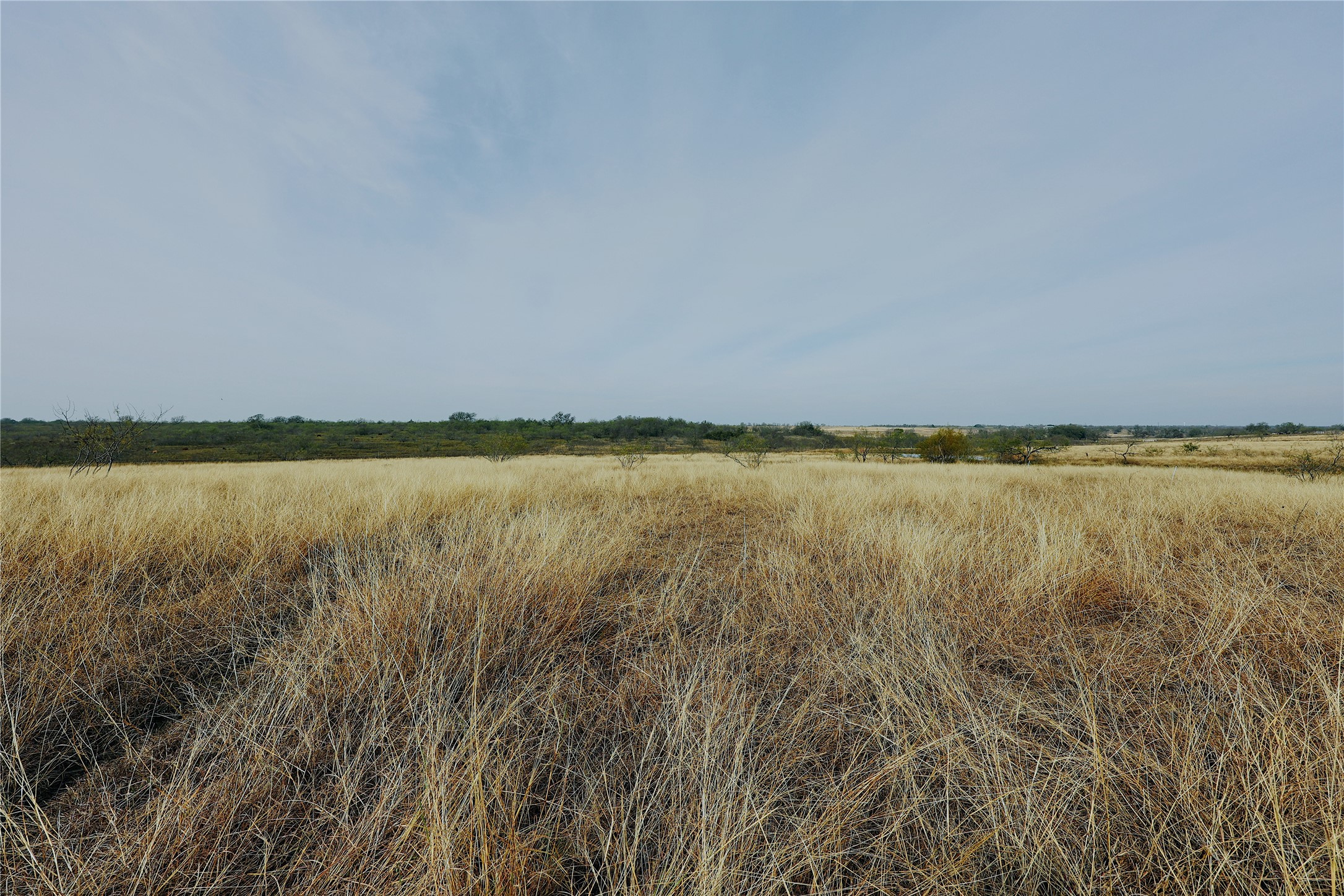 21481 SW County Road 4040 Dawson TX 76639