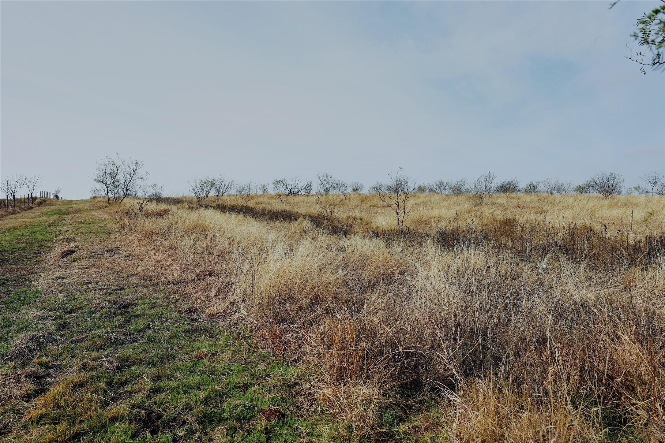 21481 SW County Road 4040 Dawson TX 76639