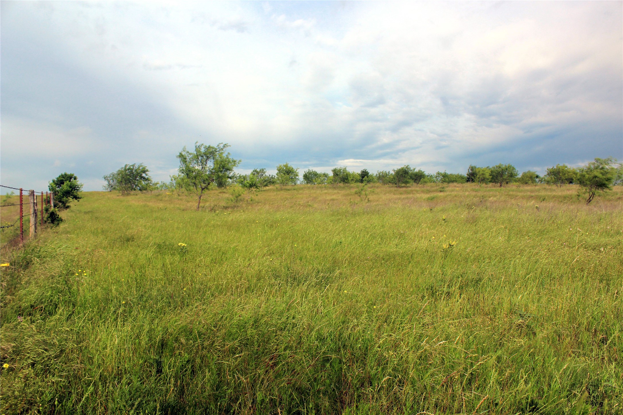 21481 SW County Road 4040 Dawson TX 76639