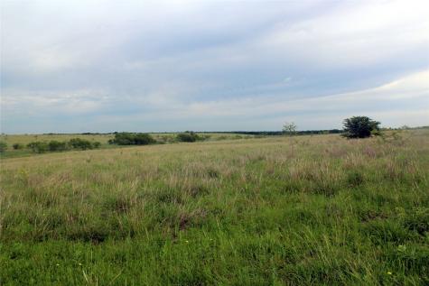 21481 SW County Road 4040 Dawson TX 76639