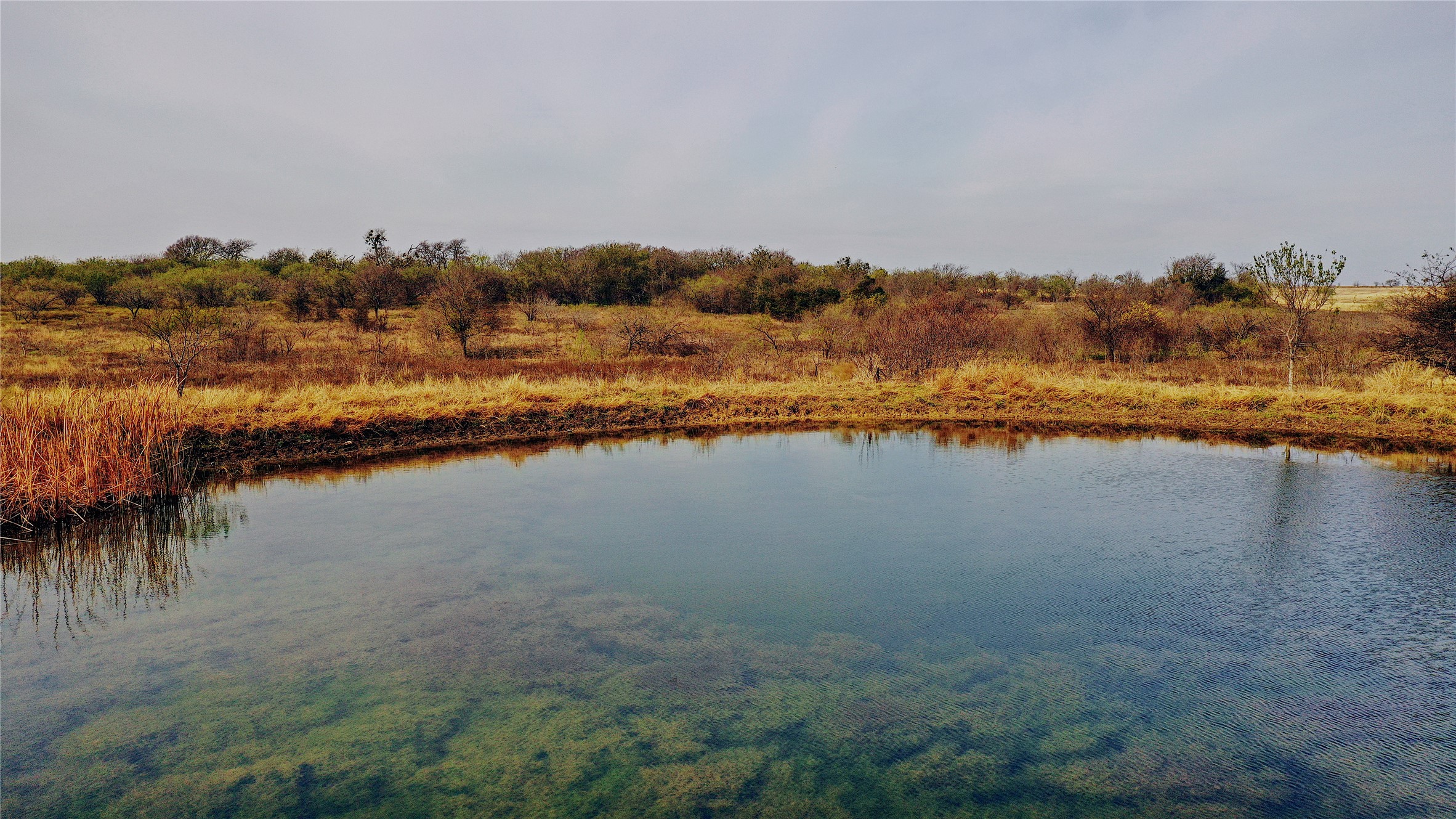 21481 SW County Road 4040 Dawson TX 76639