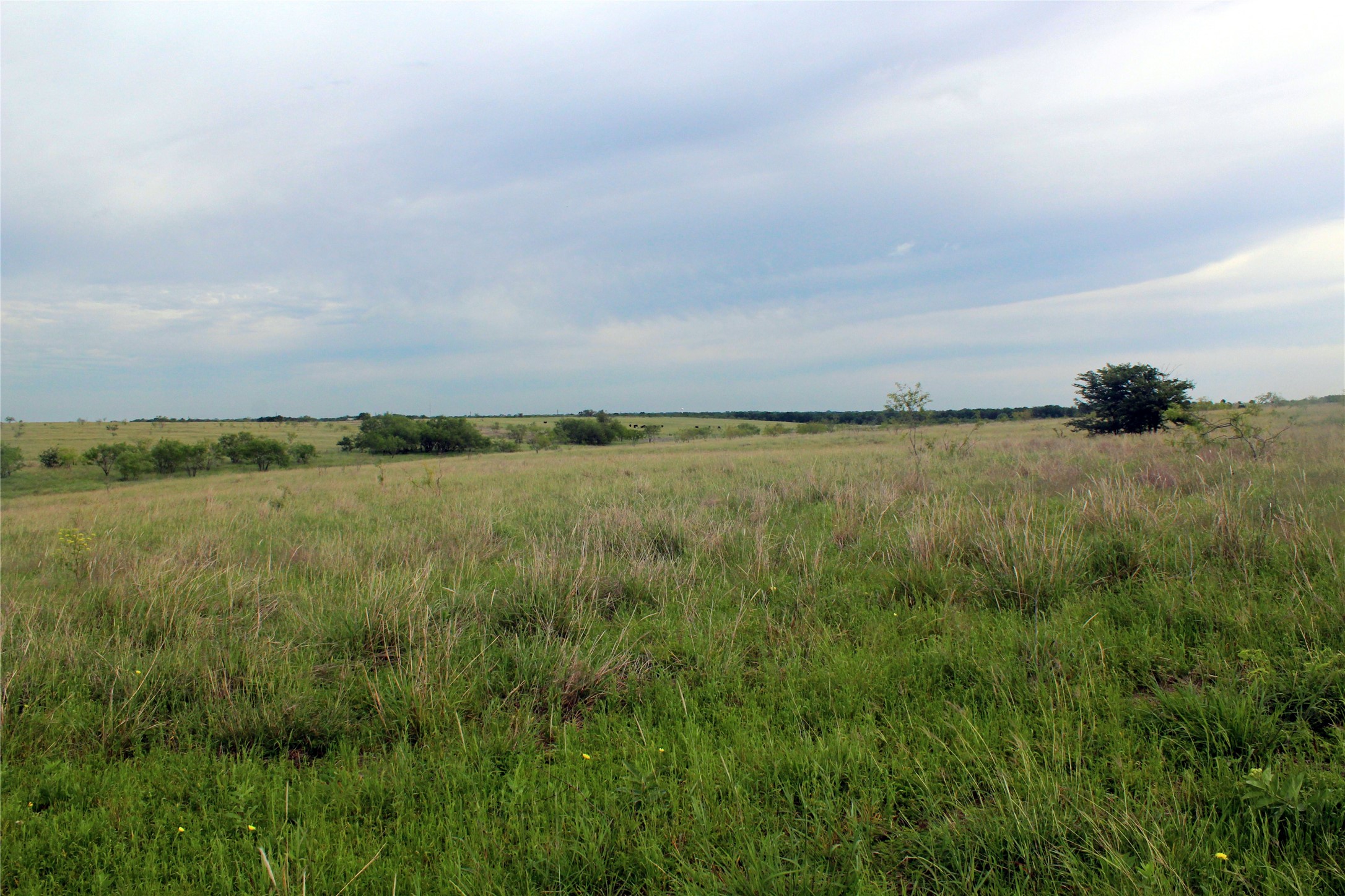 21481 SW County Road 4040 Dawson TX 76639