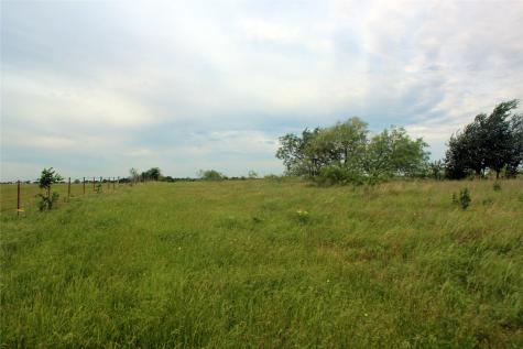 21481 SW County Road 4040 Dawson TX 76639