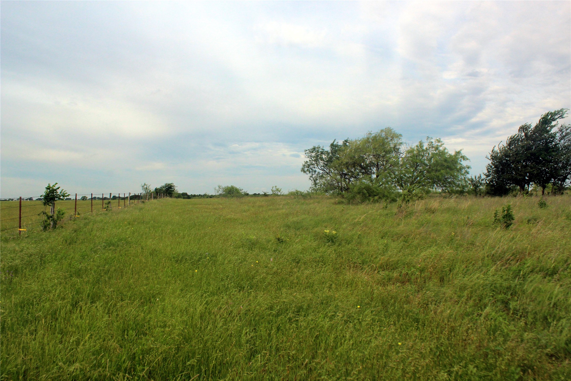 21481 SW County Road 4040 Dawson TX 76639