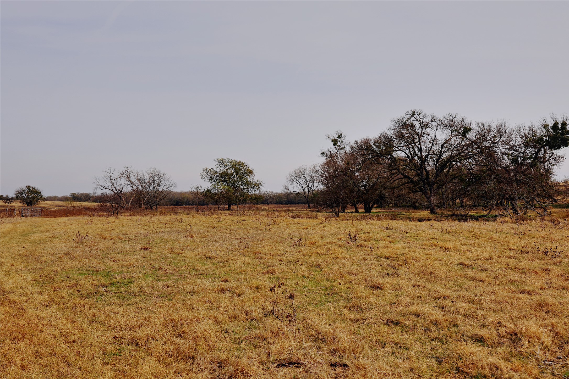 21481 SW County Road 4040 Dawson TX 76639