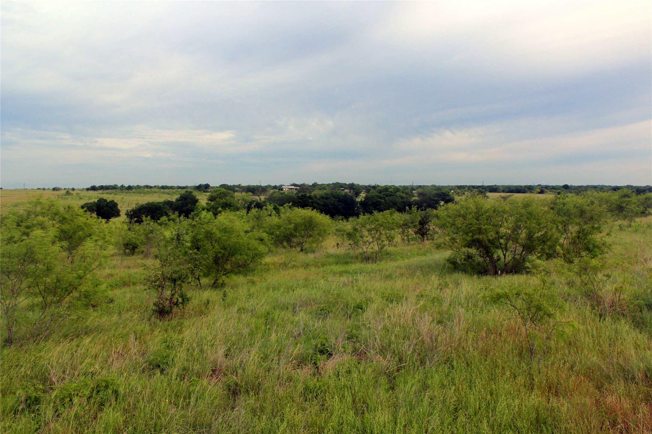 21481 SW County Road 4040 Dawson TX 76639