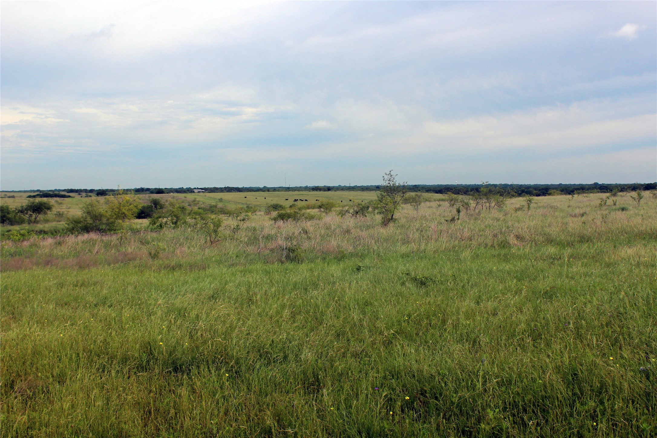 21481 SW County Road 4040 Dawson TX 76639