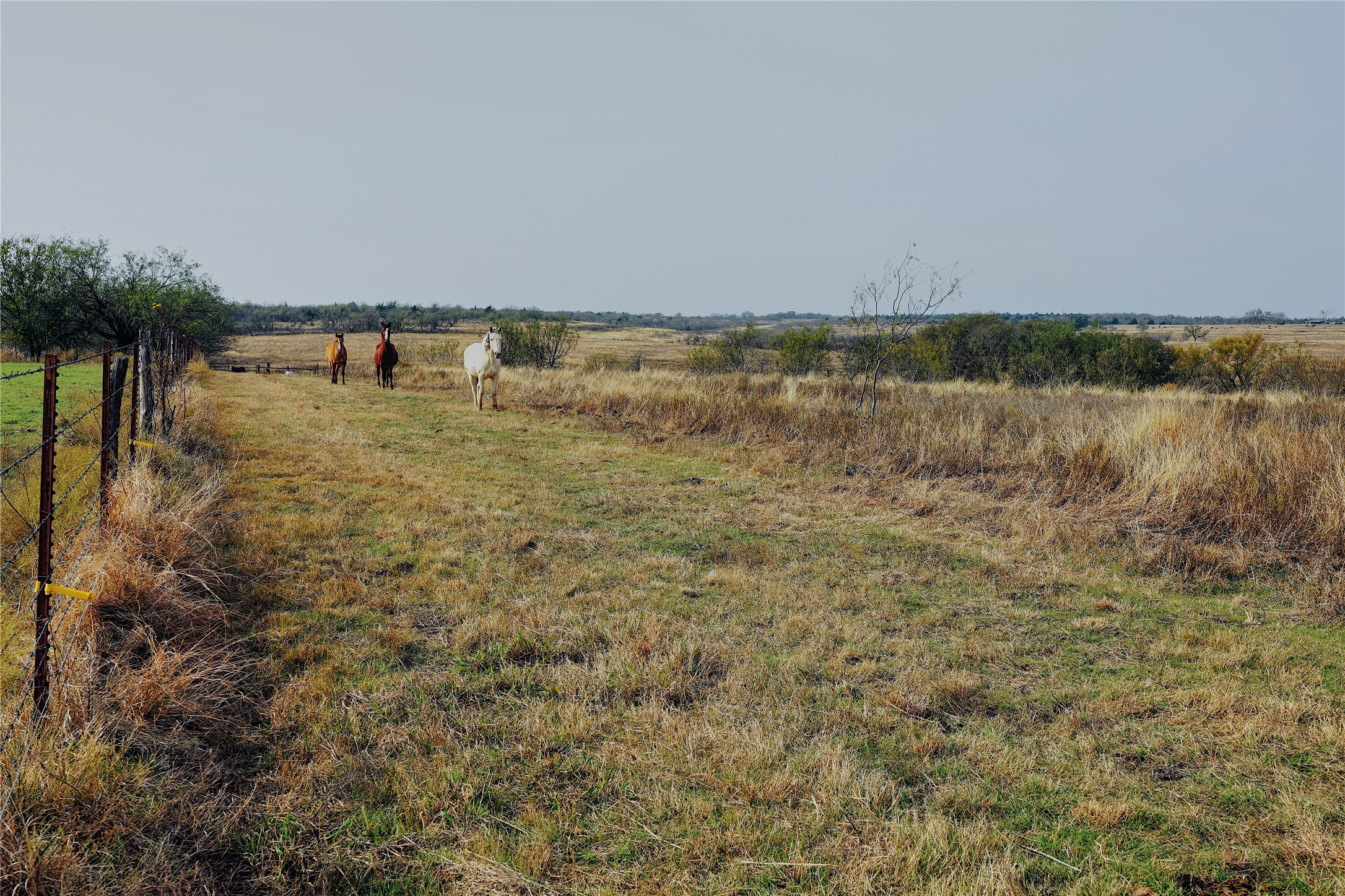21481 SW County Road 4040 Dawson TX 76639