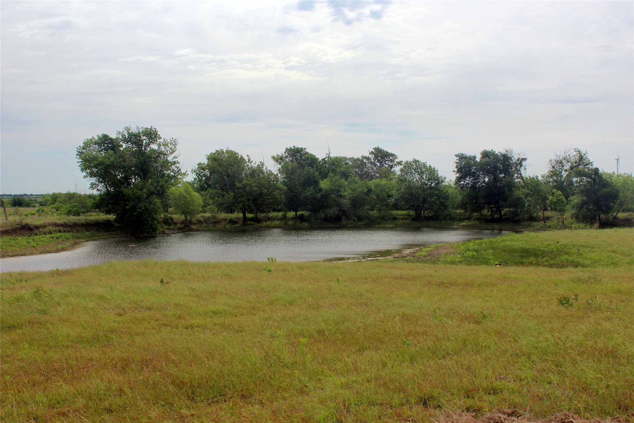 21481 SW County Road 4040 Dawson TX 76639