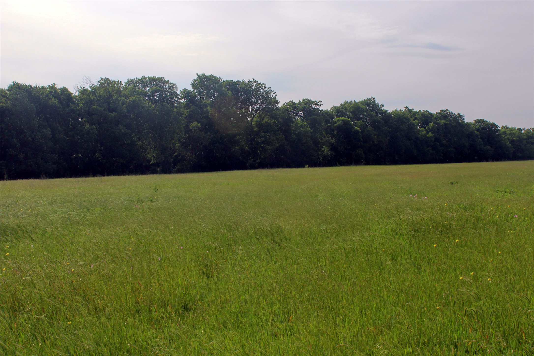 21481 SW County Road 4040 Dawson TX 76639