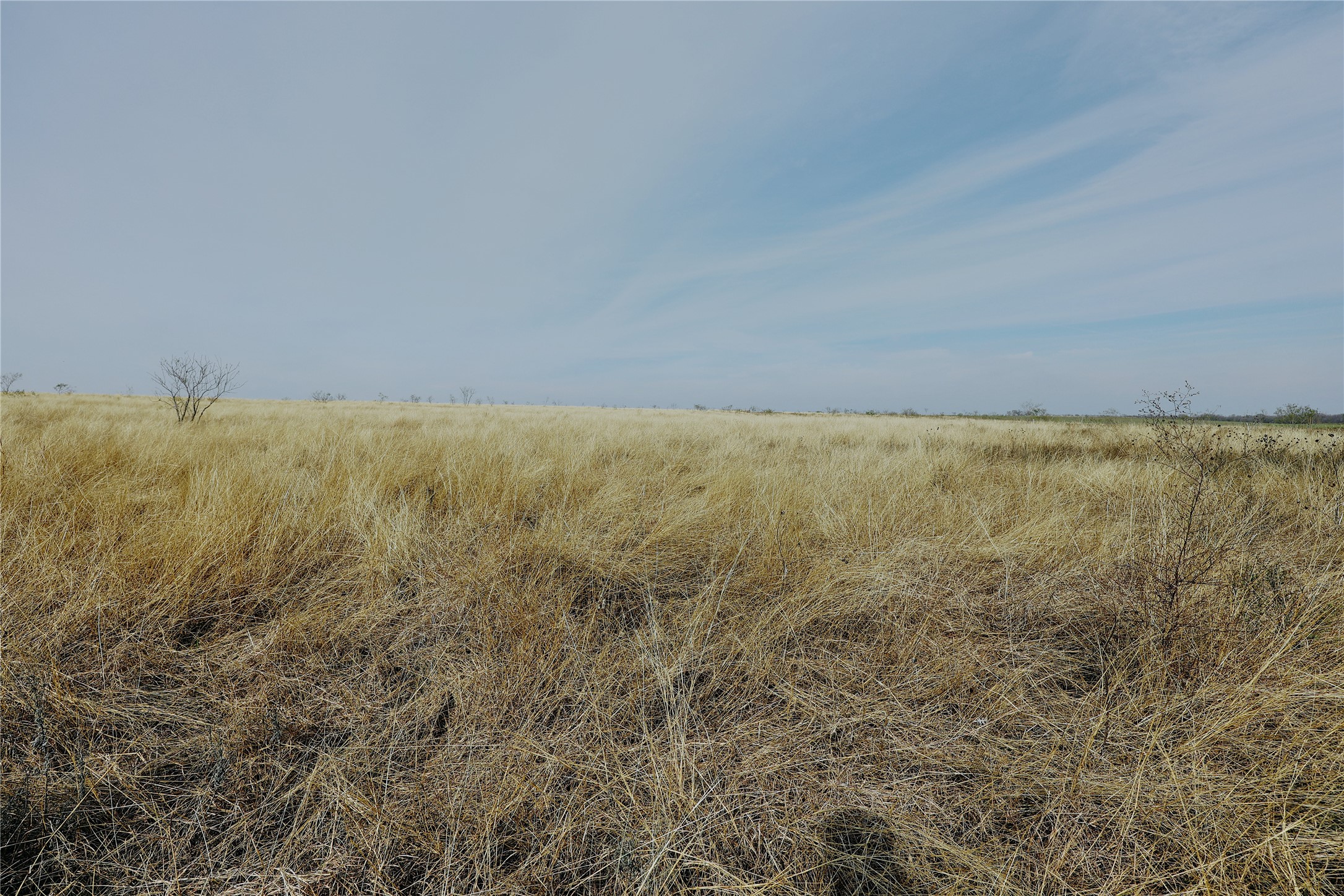21481 SW County Road 4040 Dawson TX 76639