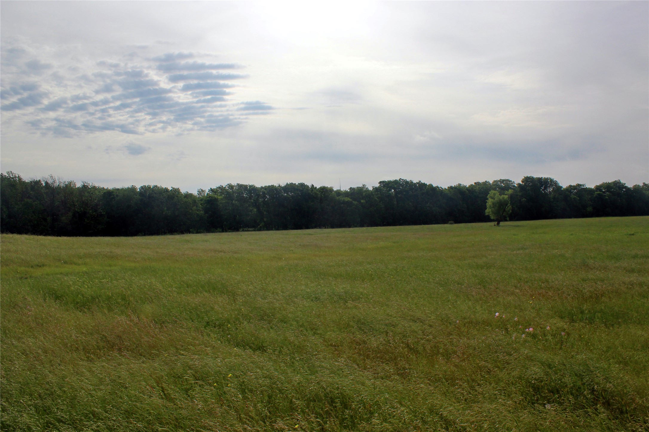 21481 SW County Road 4040 Dawson TX 76639