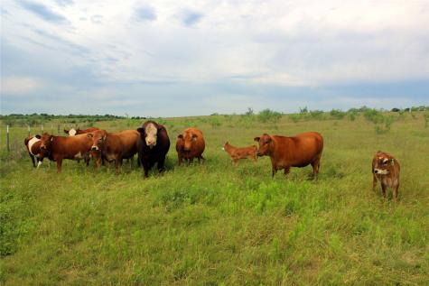 21481 SW County Road 4040 Dawson TX 76639
