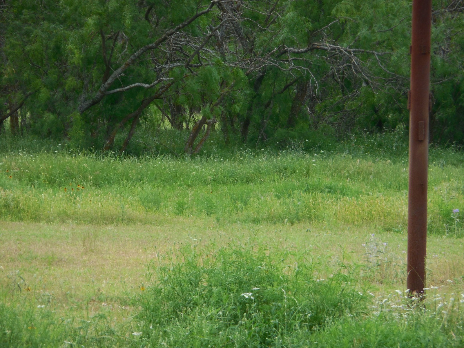 605 E Loop 254 Ranger TX 76470