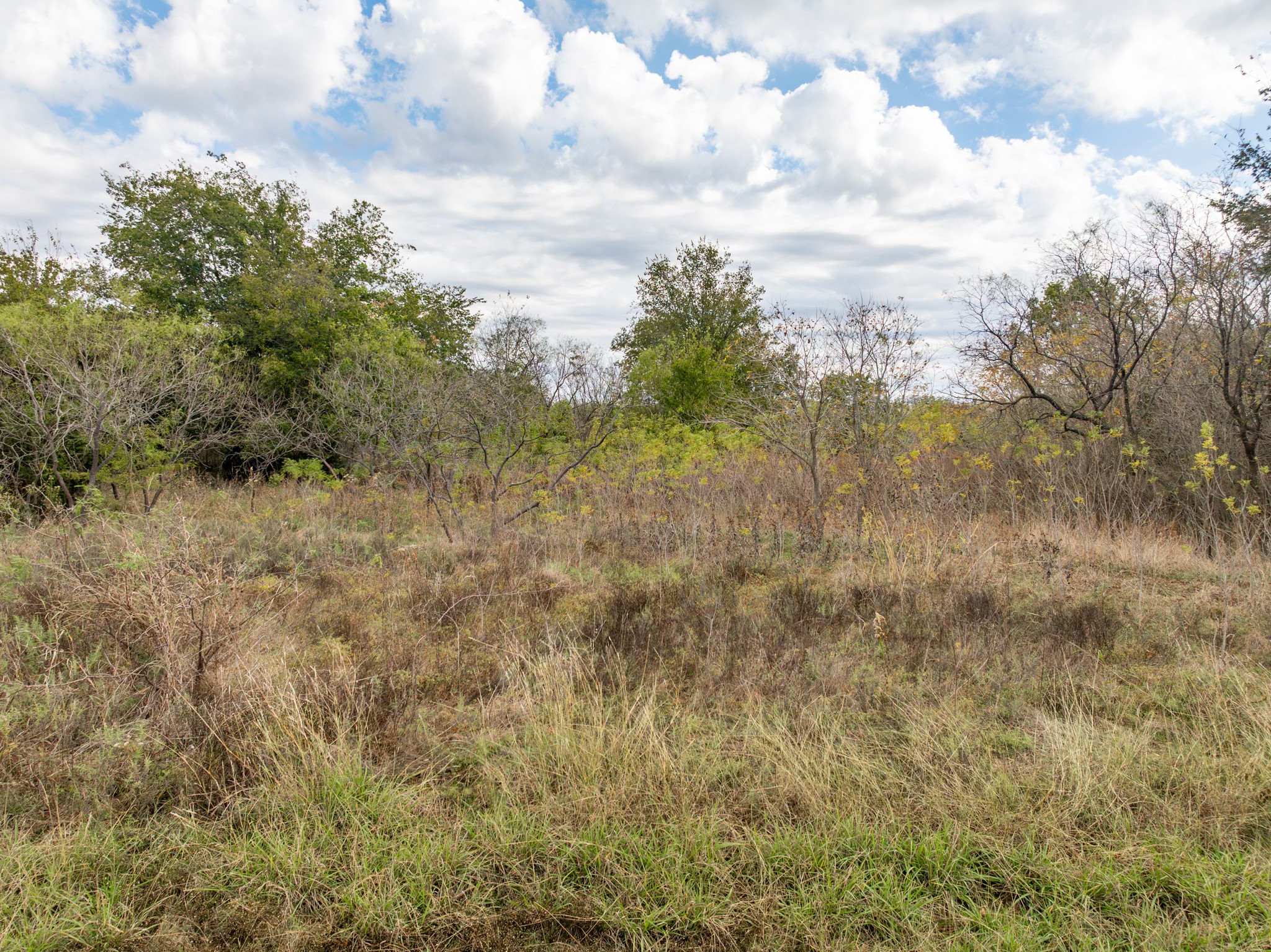 39208 Cross Timber Drive Whitney TX 76692