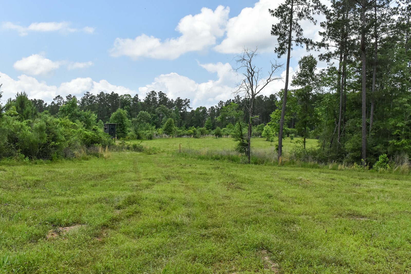 0 Oakdale Loop Livingston TX 77351